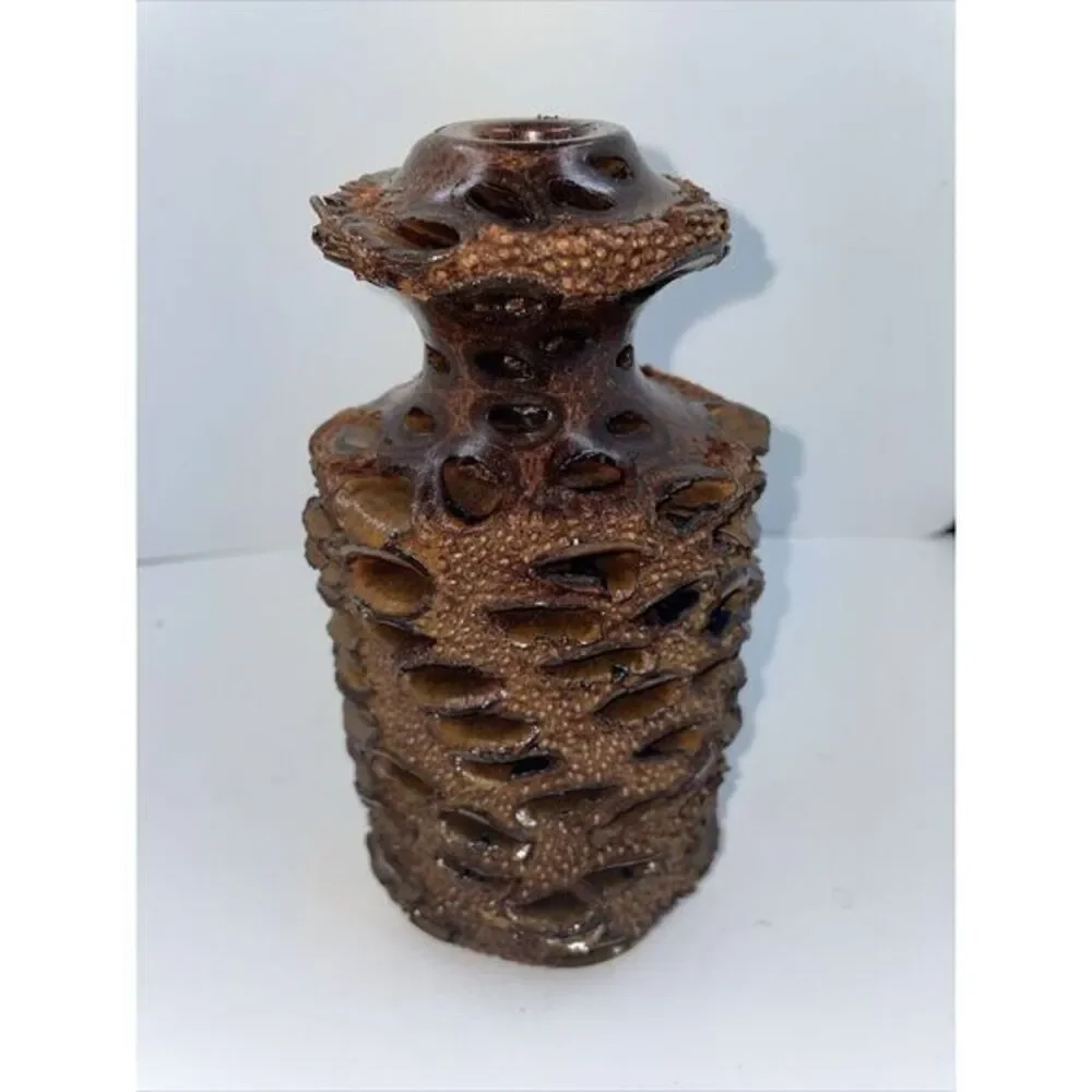 Handcrafted Banksia Nut Seed Pod Vase For Essential Oil W‎ Glass Tube 7